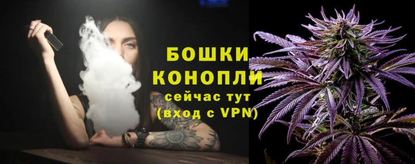 спиды Мегион